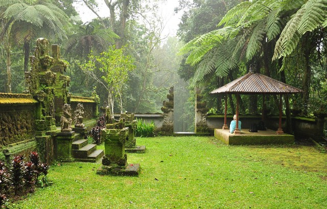 Bali Botanical